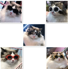 Pet Dog Cat Multi-color Sunglasses Cool Handsome Accessories