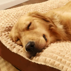 Warm Dogs Sleeping Bed Soft Fleece Pet Blanket Detachable Cat Puppy Mat Cushion For Small Medium Large Dog Pet Supplies Dog Bed